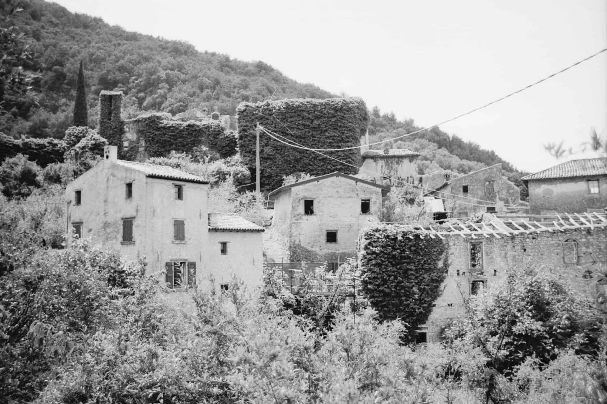 Campo