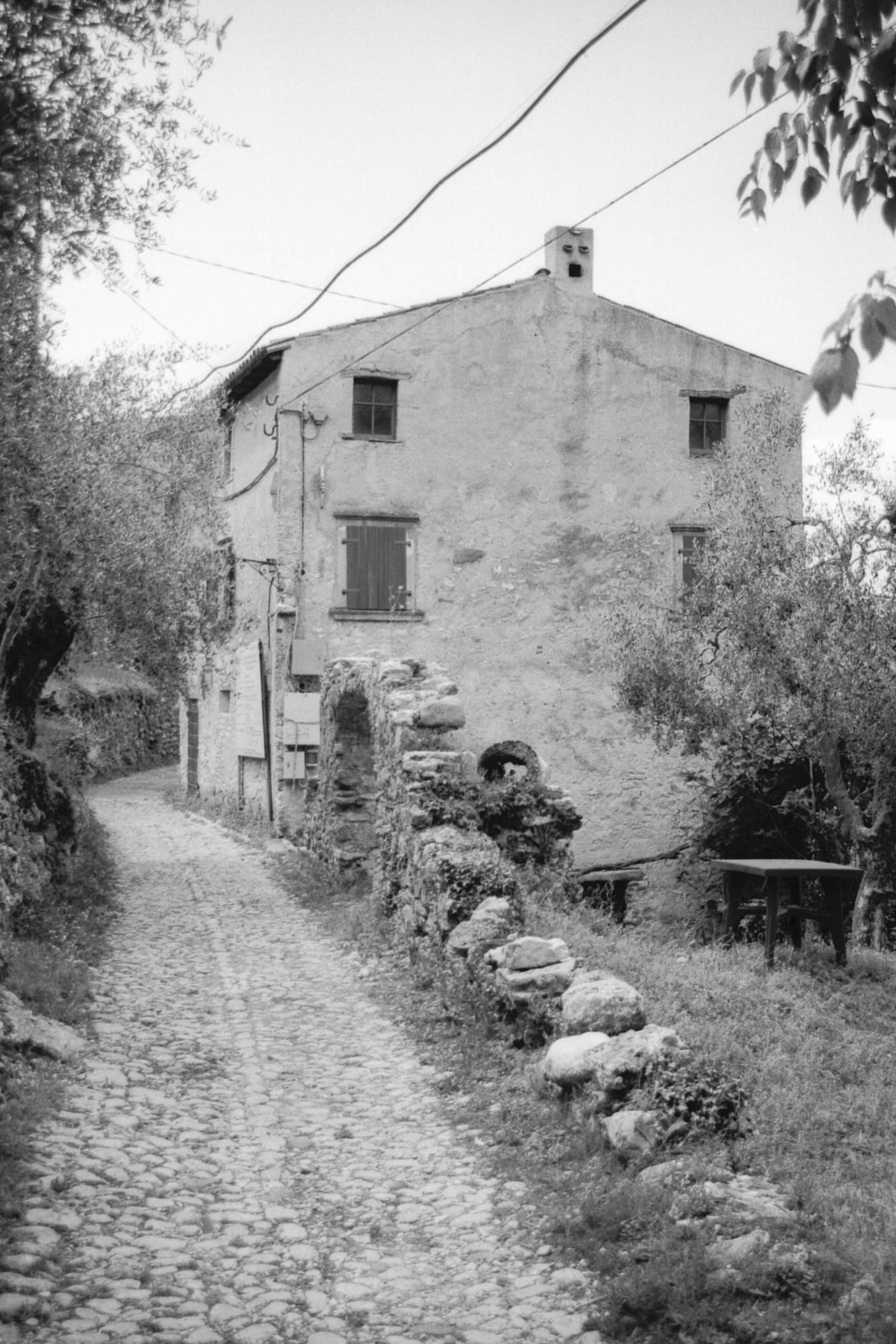 Campo