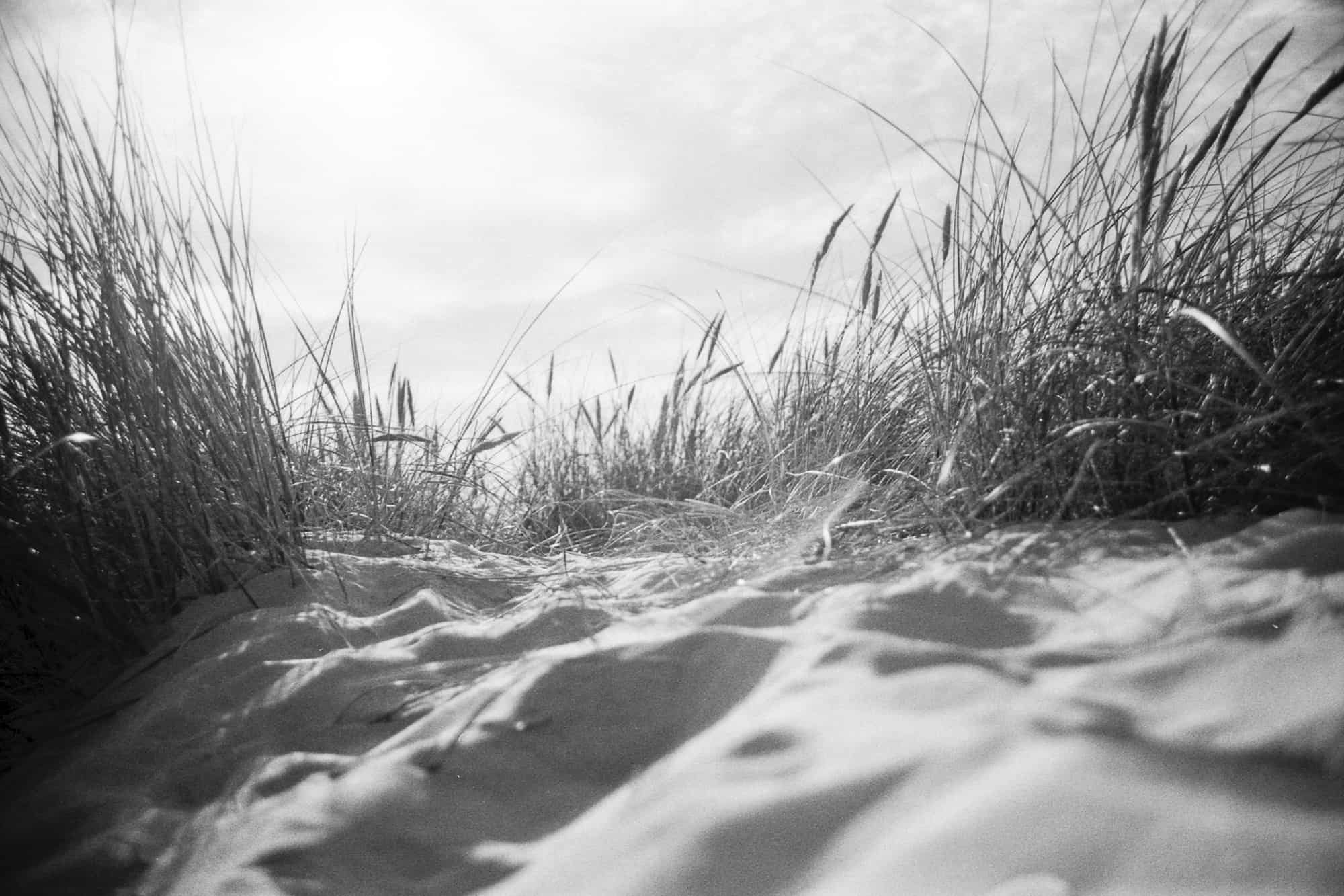 Schwarz-Weiß Foto einer Dünenlandschaft in Dänemark