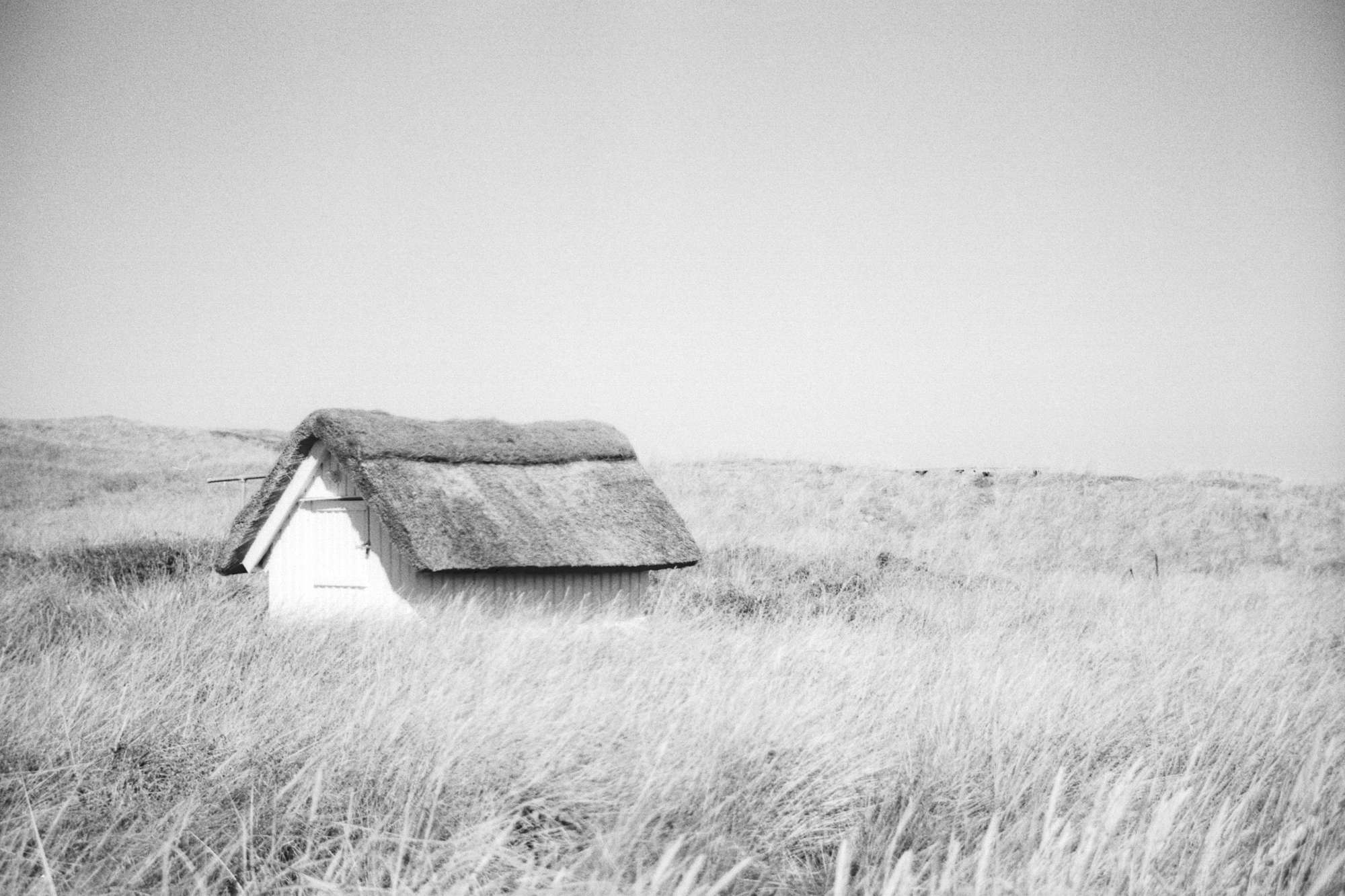 Schwarz-Weiß Foto von Menschen am Strand in Dänemark
