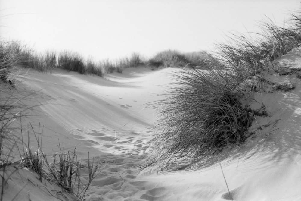 Beispielfoto, aufgenommen mit der Canon EOS 500N mit Blick auf Dünen in schwarz-weiß