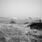 Foto der Dünenlandschaft in Dänemark, im Vordergrund ist ein Ferienhaus