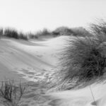 Schwarzweiß Foto mit Dünen