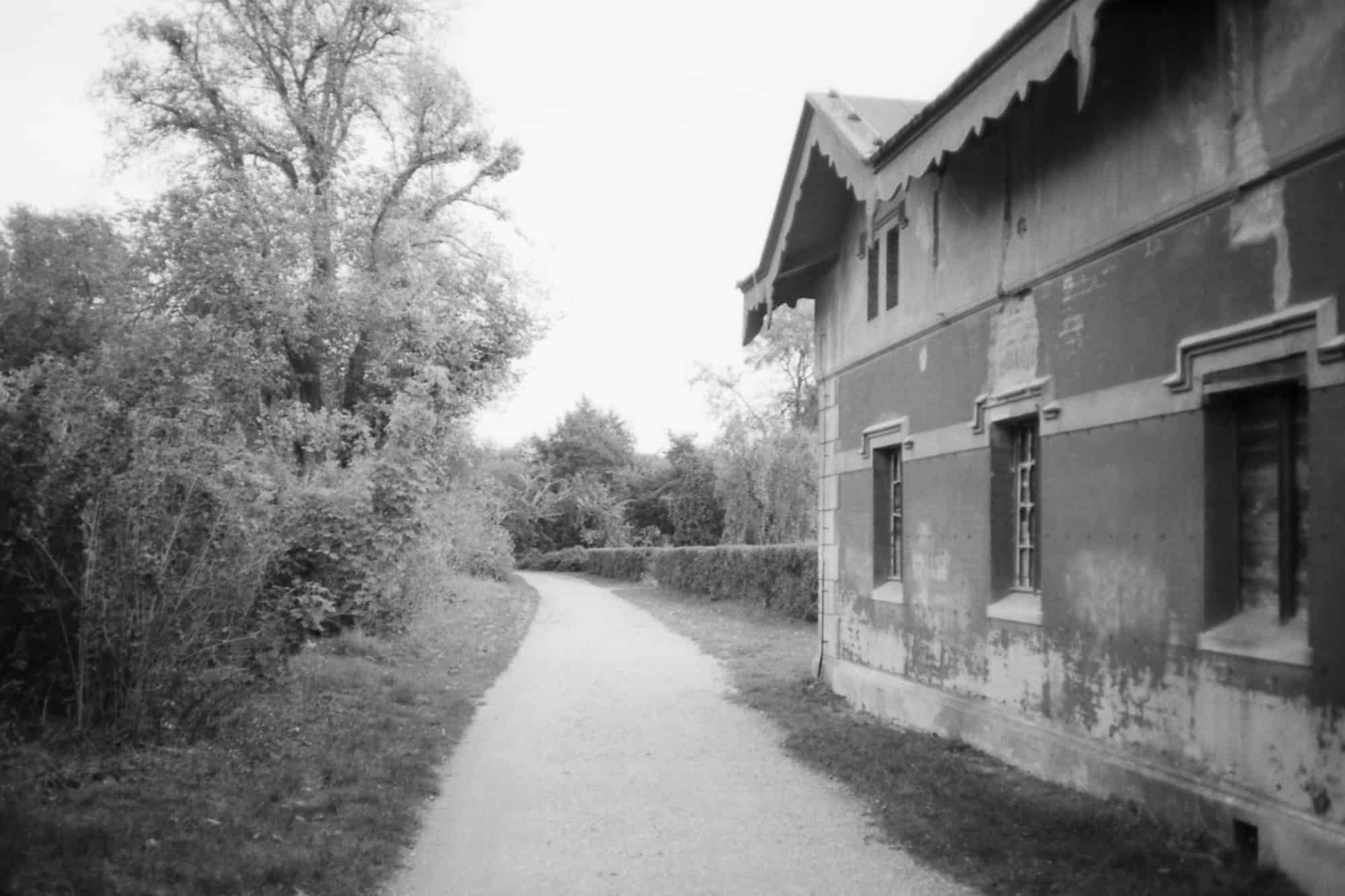 Bild eines Weges in einem Park, Testbild Rollei 35 AF