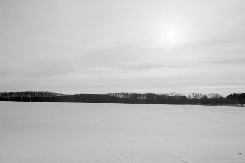 Dieses Foto zeigt eine in schwarzweiss aufgenommene Landschaft im Winter