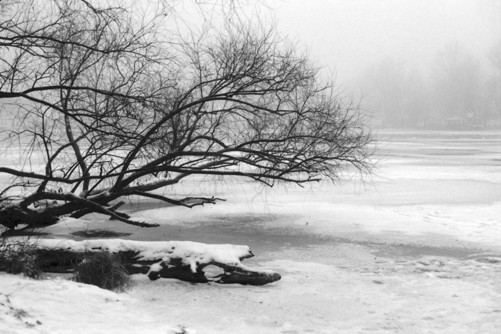 Schwarz-Weiß-Foto eines Flussufers im WInter