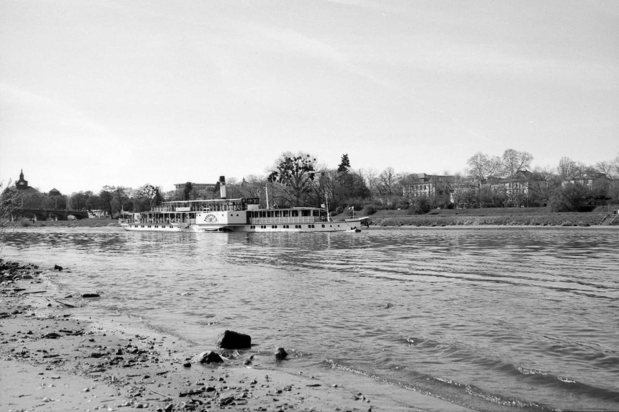 Dieses Schwarz-Weiß Foto zeigt einen Raddampfer auf der Elbe bei Dresden.